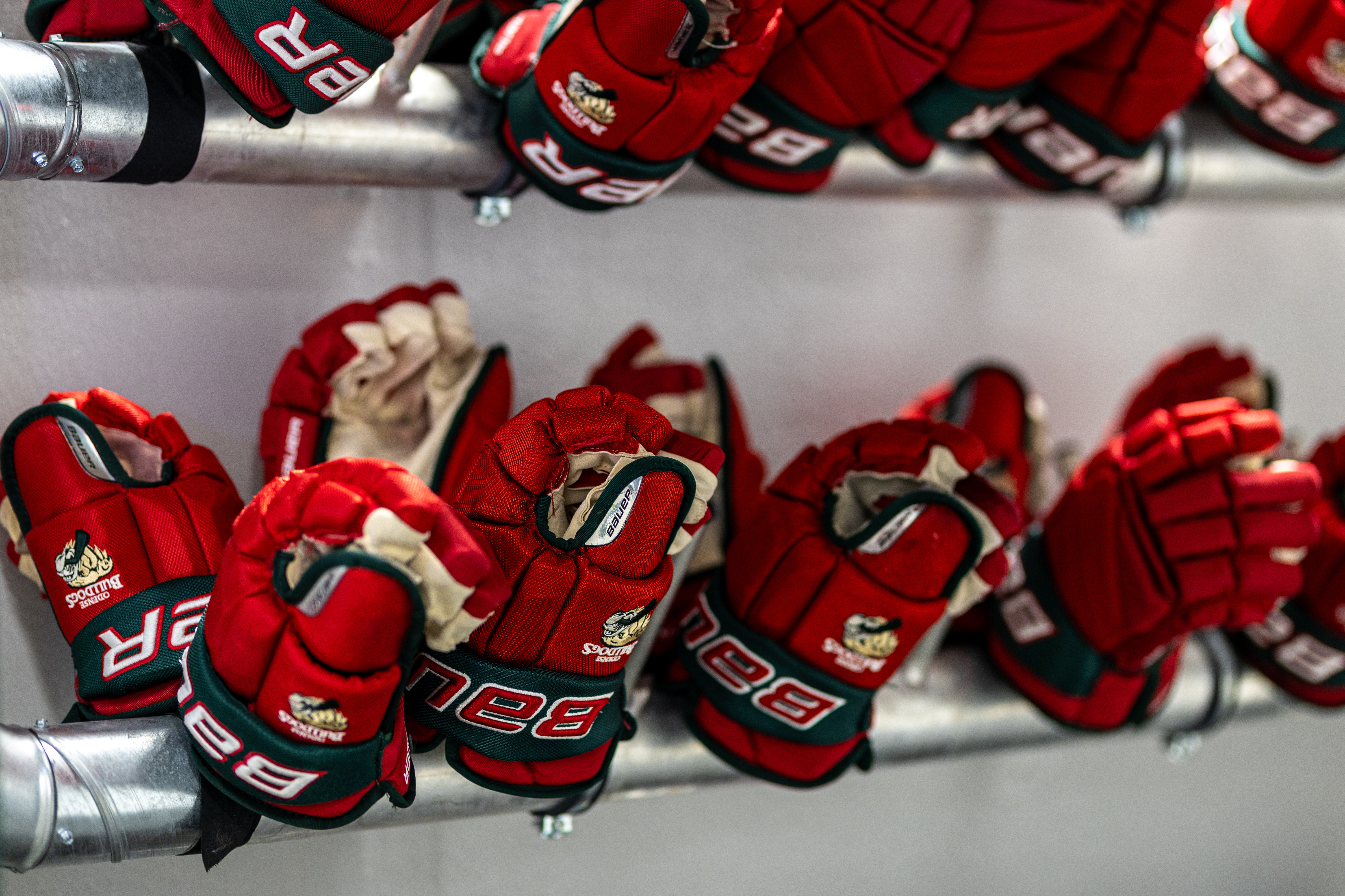 Arvid Bergström skal tørne ud for Odense Bulldogs