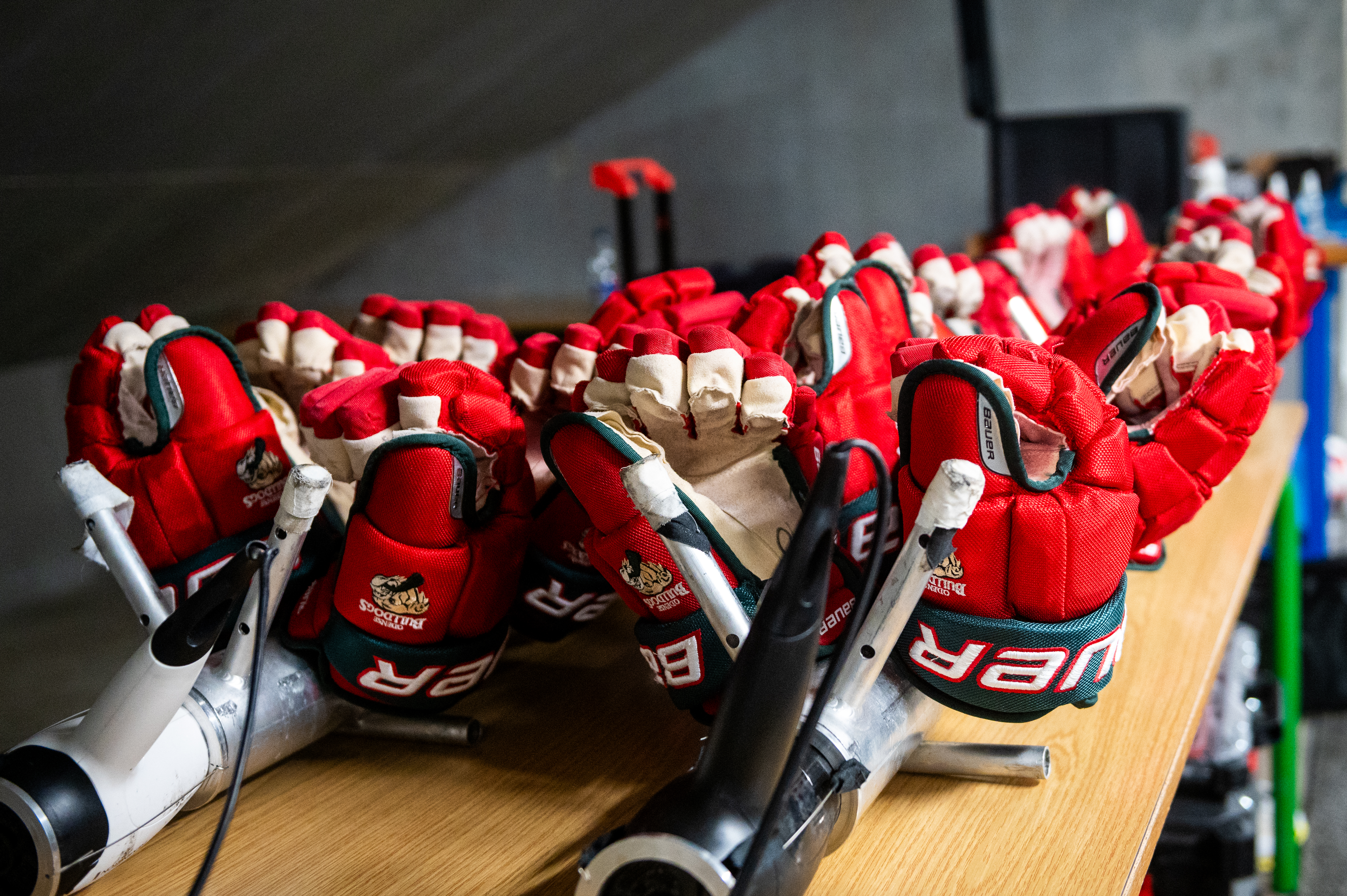 Se overblikket over Odense Bulldogs truppen til den kommende sæson