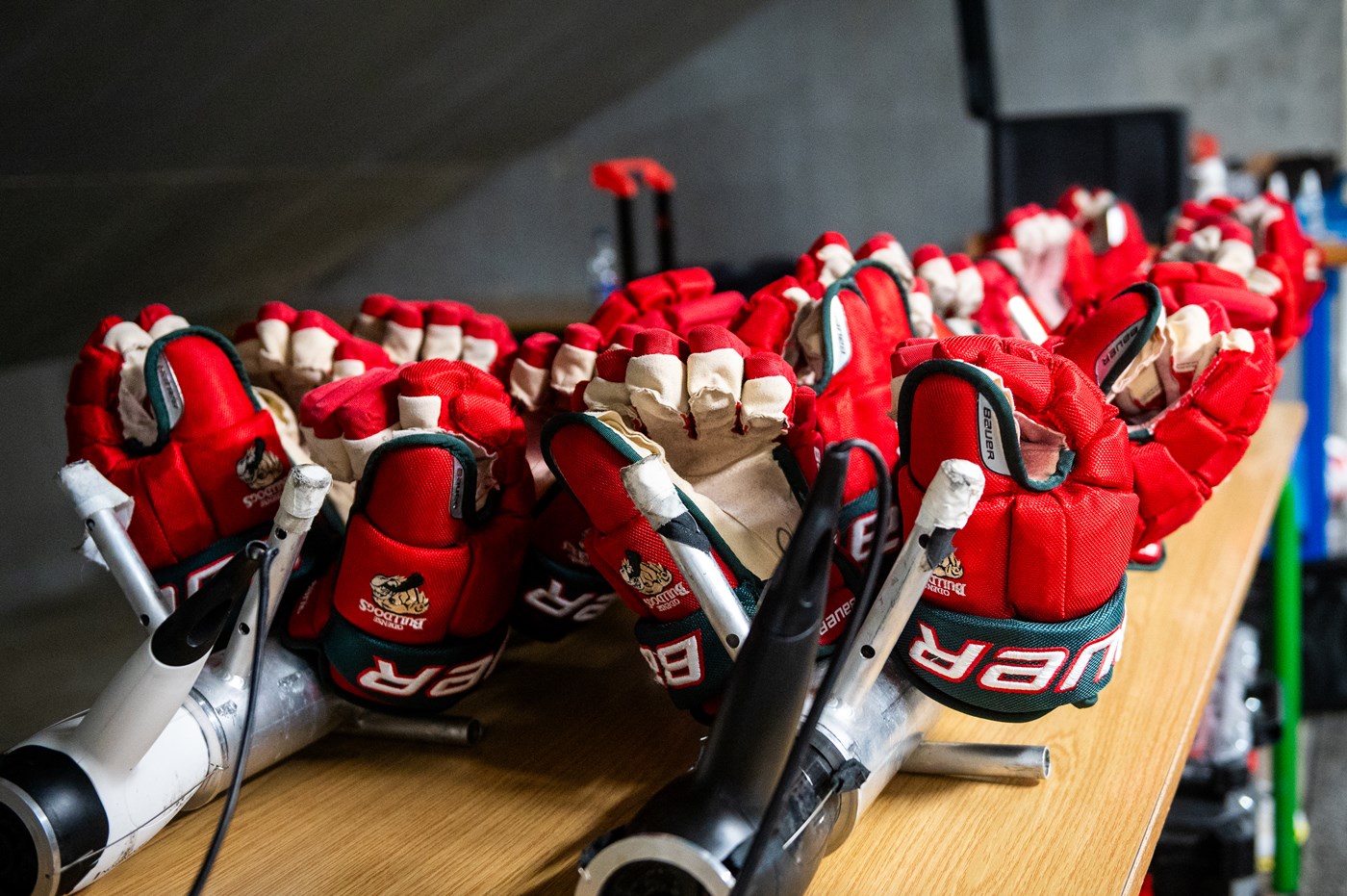Se overblikket over Odense Bulldogs truppen til den kommende sæson