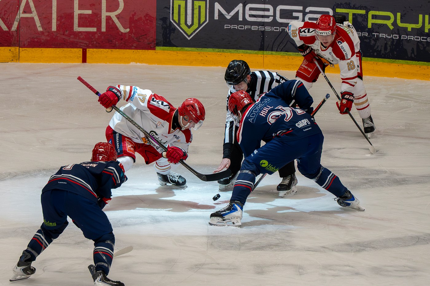 Varm op med Odense Bulldogs kampprogram