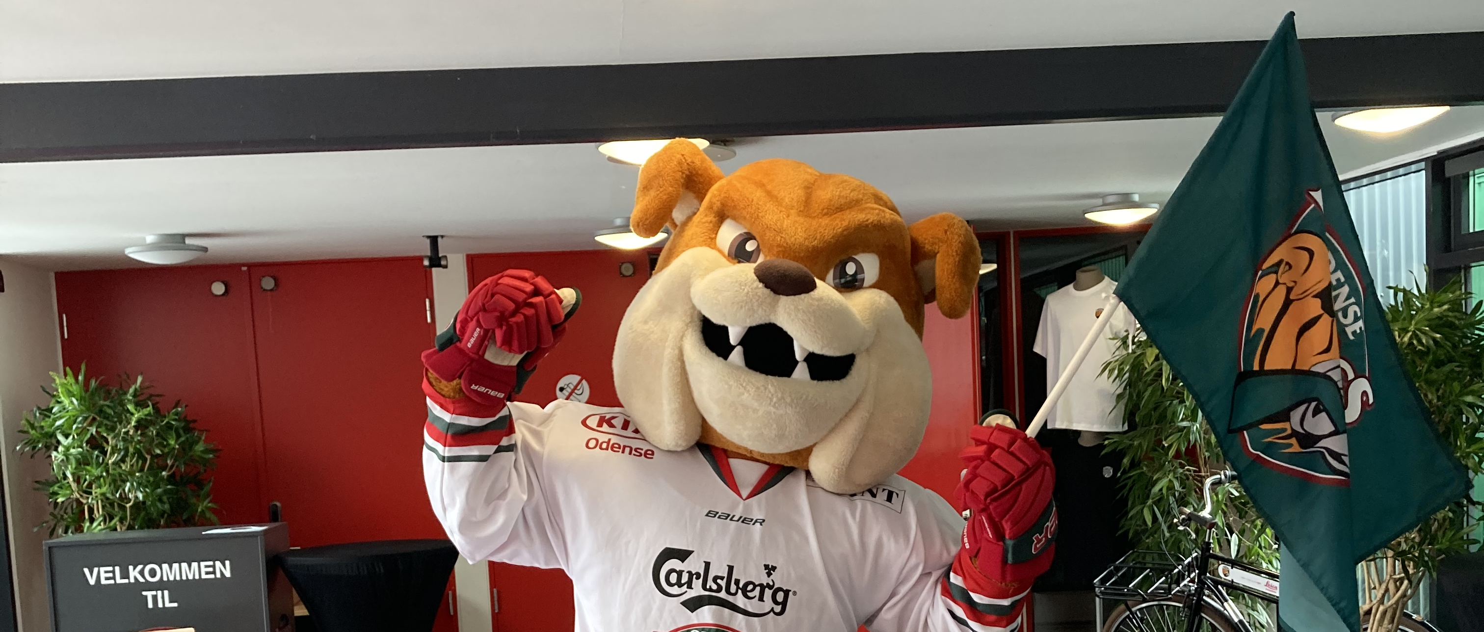 Scotty fra Odense Bulldogs er klar til Maskotparaden 2023