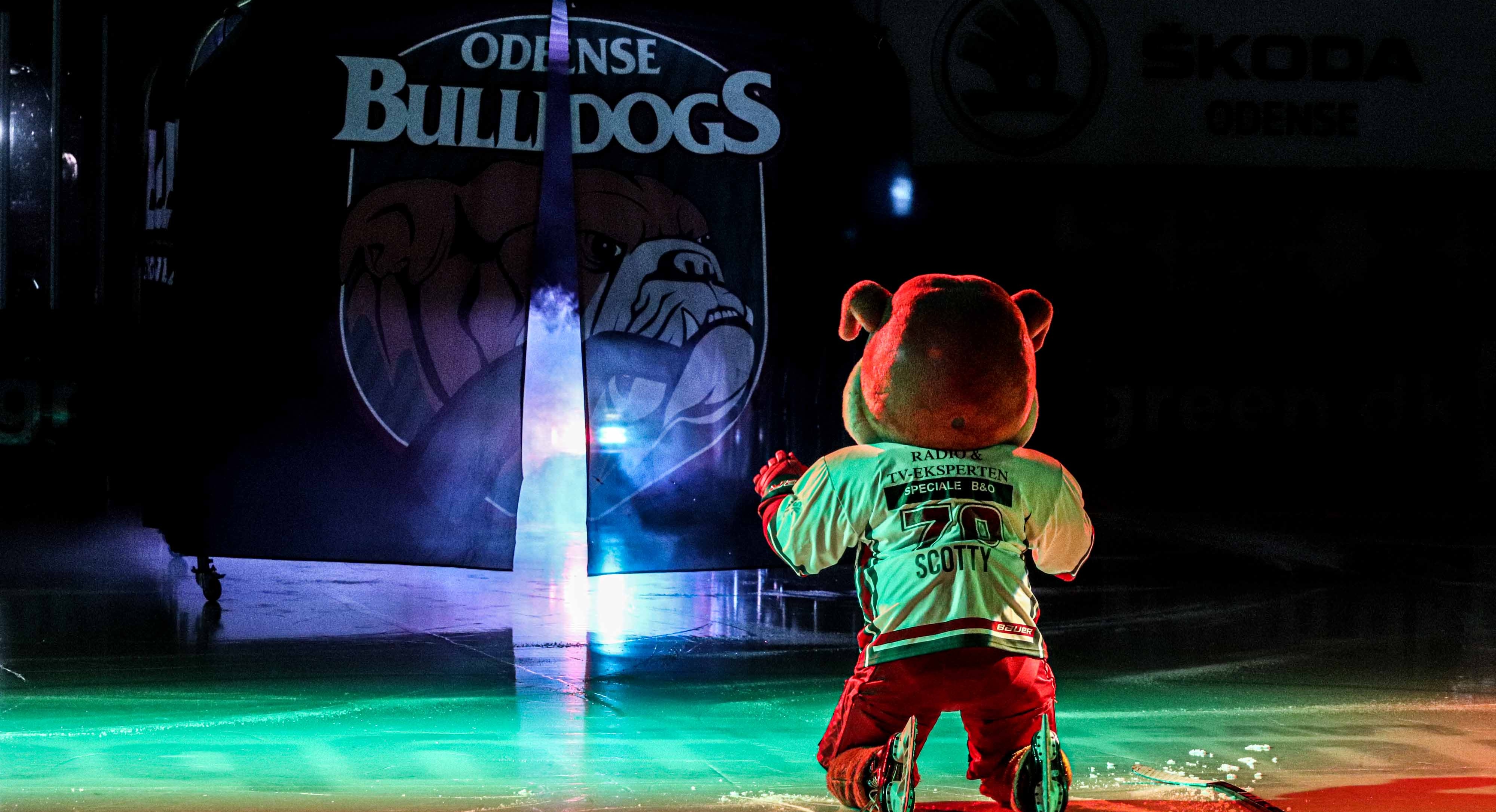 Blake Bennett styrker offensiven i Odense Bulldogs